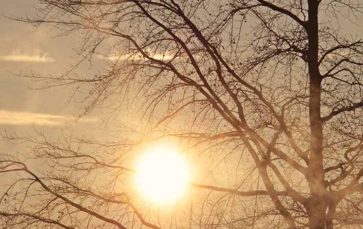 meteo
